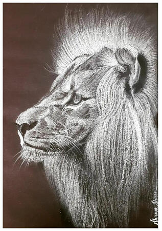 Title - The roar Medium - pencil shading Surface - Black sheet by Shreya shree (Jharkhand)